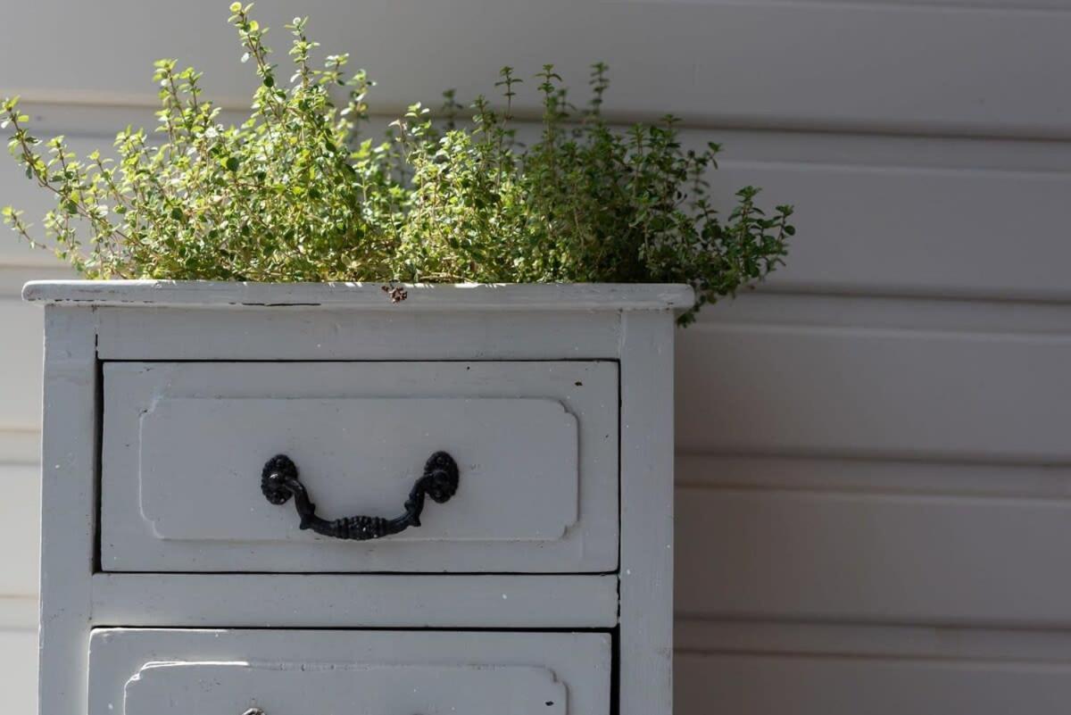 Cosy Accommodation Moments From The Centre Of Town With Wifi Launceston Luaran gambar